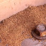 termite-signs-droppings