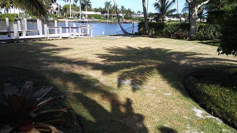 FM0   FC111110110:zzzzzz011 a5 00  0  05f03184502ee1040 9241231e7 32  0229  01fd  0  0  0  0 0 0 0 01bac1bac1b3  064 01ccc212c1f6  064 01dec297c272  0 0 01fdc33ac2e5  06e 01e9c464c34d  064 01d5c3b6c2d4  064 01f1c2e5c23b  064 01f5c435c319  064 01f9c442c30e  064 01fdc462c30f  064 0201c49cc331  064 0205c4c4c33e  064 0209c4dbc327  064 020dc4e0c31d  064 0211c4d2c2fb  064 0209c4b9c2f6  064 0209c4e1c313  064 0